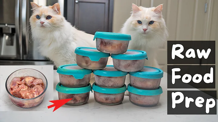 How I Make Homemade Raw Cat Food (6 Easy Steps) | The Cat Butler thumbnail