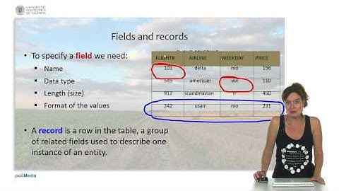Basis Data, File, dan Pergudangan Data: Konsep Dasar Basis Data | | UPV