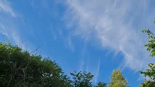 🗨video 1 🗨video 1