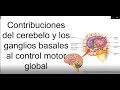 Contribuciones del cerebelo y los ganglios basales al control motor global | Fisiología