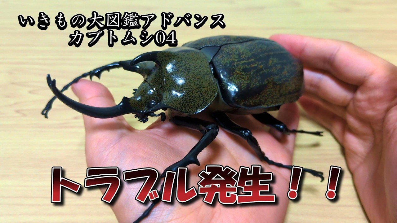 Trouble] I unboxed the Ikimono Daizukan Advance Rhinoceros Beetle