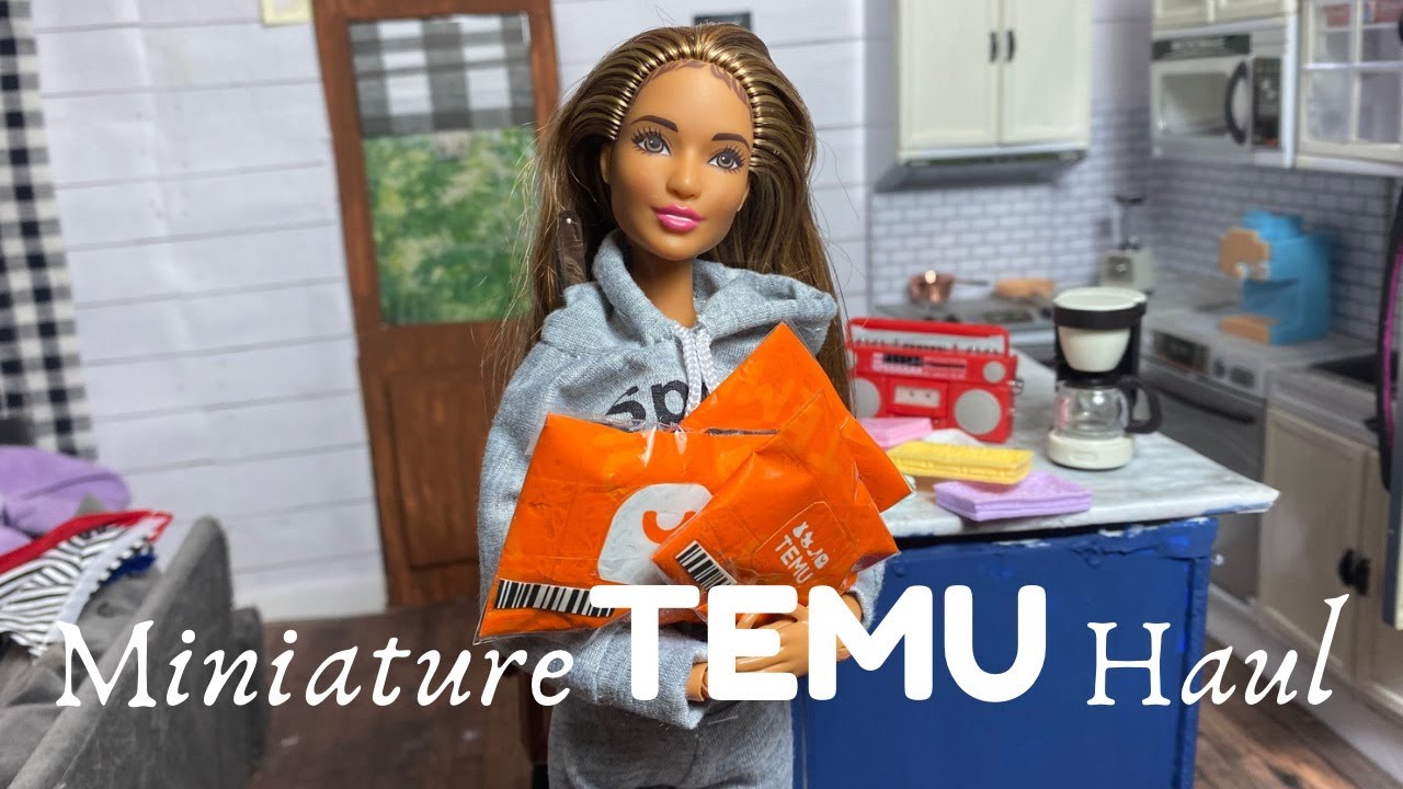 TEMU Barbie Doll Haul! Clothing & Accessories - Realistic Minis For LOW  PRICES 