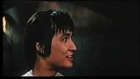 Die tödlichen Fäuste der Shaolin (1974) - german VHS Trailer (Skyline) aka Heroes Two