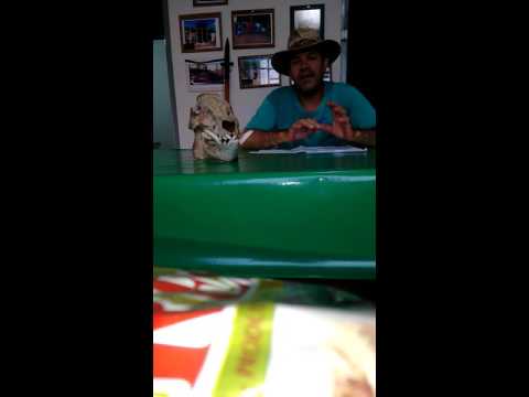 vdeo
