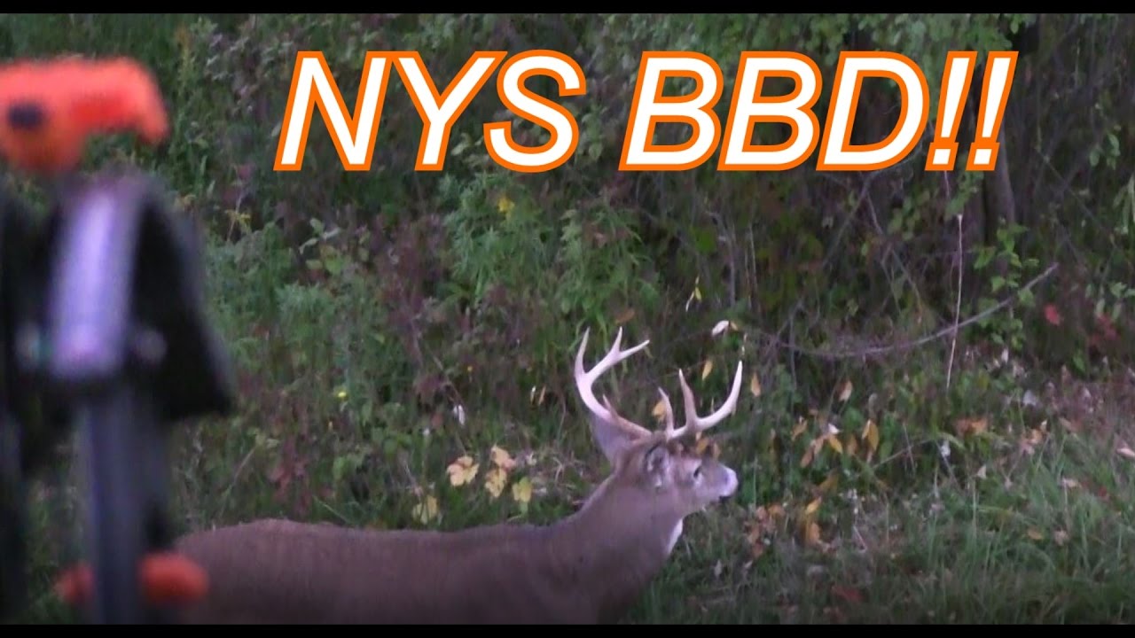 Bow hunting New York Big Buck Kill 2016 YouTube