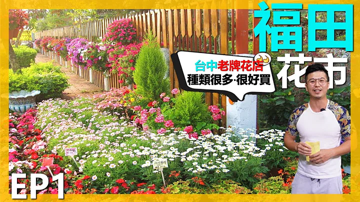 【福田观光花市EP1】GARDEN SHOP TOUR 台中老牌园艺店，品项种类很多，时不时会有一些精品出现，很值得去逛逛。＃伊恩爱种花＃福田园艺＃台中园艺店 - 天天要闻