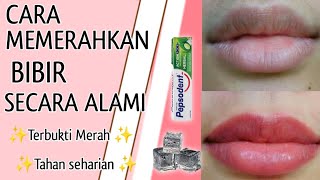 CARA MEMERAHKAN BIBIR DENGAN CARA ALAMI ✨Bibir merah tahan seharian✨