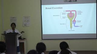Lecture on Kidney Function Test (KFT) &amp; Renal Clearance Explained | MBBS | TSMC