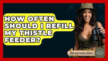 How Often Should I Refill My Thistle Feeder? - Bird Watching Diaries