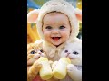 Baby's Friends #catvideos #viralvideo #trending