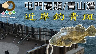 #40 近岸釣青斑『香港釣魚 : 岸釣』釣點分享 屯門碼頭/青山灣 {中英文字幕}