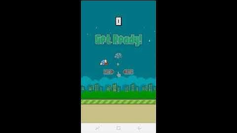 14 minute flappy bird ( i