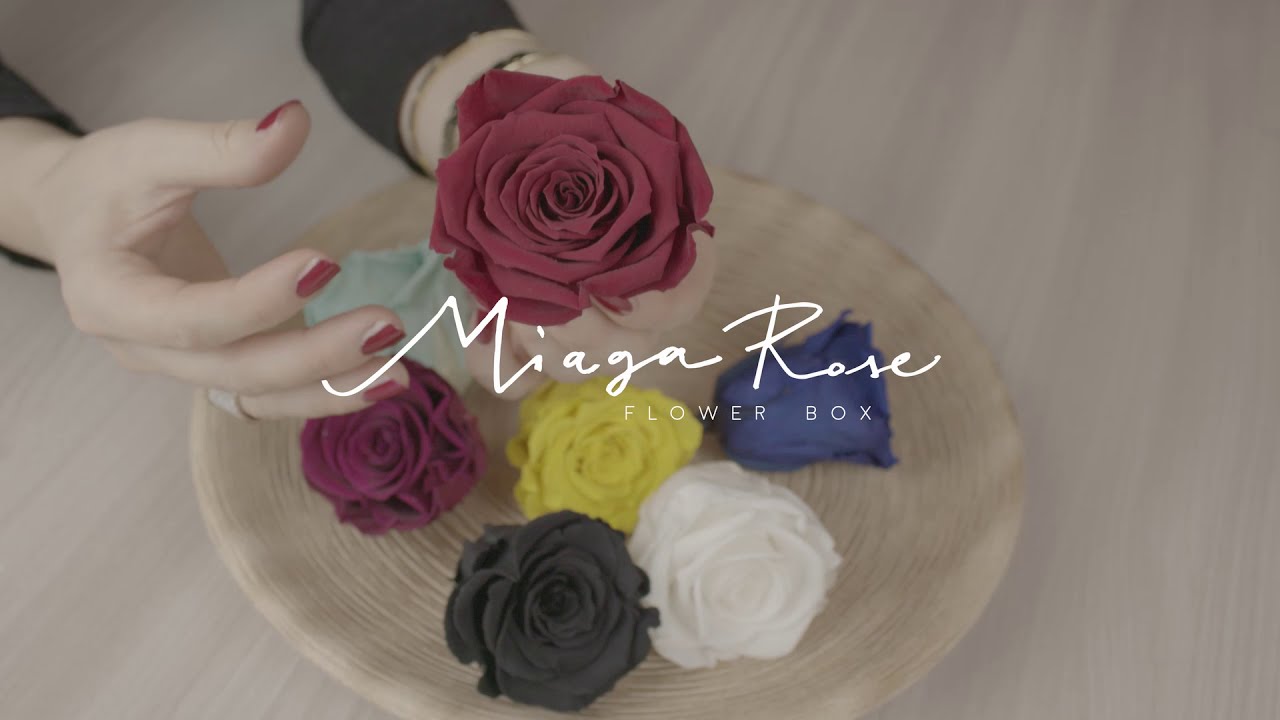 Cosa sono le rose stabilizzate