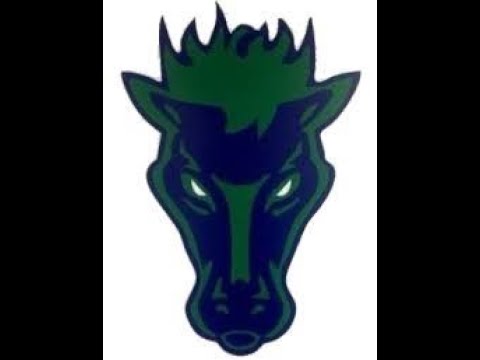 damonte ranch school
