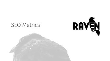 How To Review Your SEO Metrics In Raven Tools