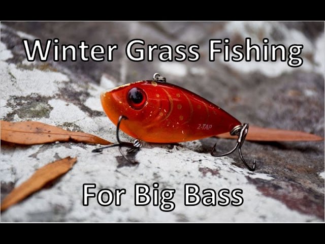 Catch BIG Fall BASS with this BAIT - GEECRACK Bellows CRAW! 