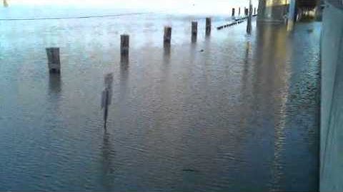 Thumbnail of Wharf Under Water In Morgan City