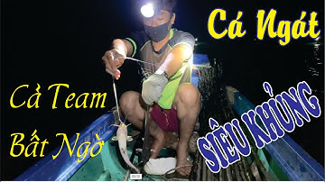 Cắm Câu Cá Ngát Trên Bãi Ven Sông Miền Tây | Cá Ngát Siêu Khủng và Cái Kết Cả Nhóm Bất Ngờ