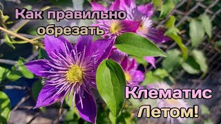 :    !