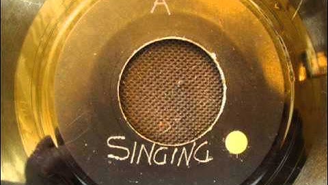 Thumbnail of Roman Stewart - Put Away Praises