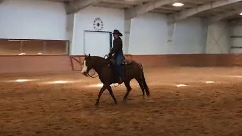 2020 WCRH Ranch Horse Round-Up Amateur Ranch Ridin...