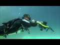 Maldives, Diving in Vilamendhoo with Euro-Divers