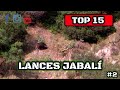 TOP 15 LANCES DE JABALÍ 2020 | WILDBOAR TOP SETS #2