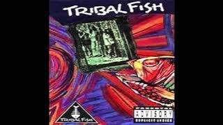 TRIBAL FISH - BULOK