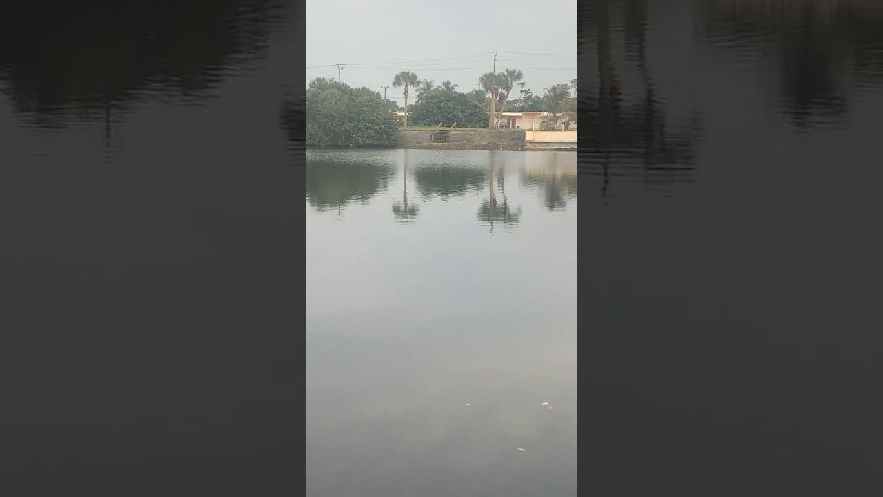 JAW-DROPPING Jumping Fish! Unbelievable Catch in FL!