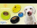 Examen des jouets starmark treat pour chiens 2021  examen des animaux de compagnie ttpm