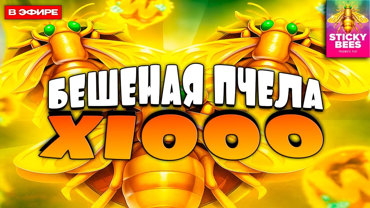 STICKY BEES ВЫДАЛ 40.000.000 \ maxwin \ заносынедели \ бигвин \ максвин \ аппараты \ деньги
