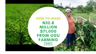 ?New Year New MONEY? || How to make N32.8million farming Ugu Vegetables ???? nigerianvegetables