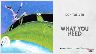 Don Toliver - 'What You Need'