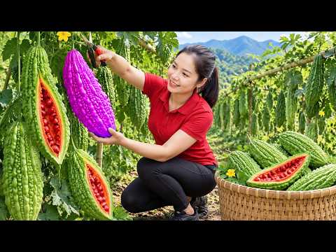 Harvesting Mutant Bitter Melon Go To Market Sell - Caught my husband having an affair | Farm Life