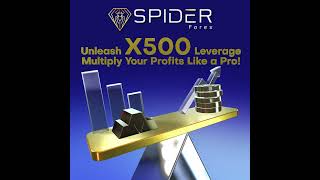 Small moves, Big Gains! With Spider X500 Leverage