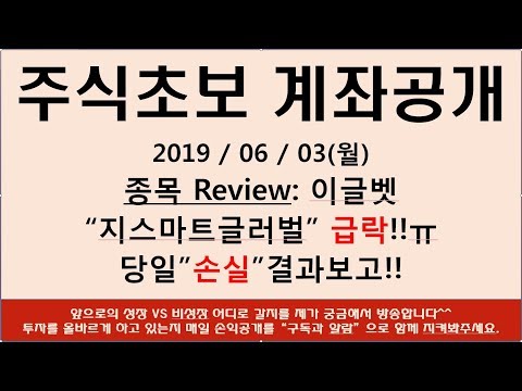 [주식초보] 이글벳 종목소개 지스마트글러벌 유상증자 손실 결과보고 하겠습니다.