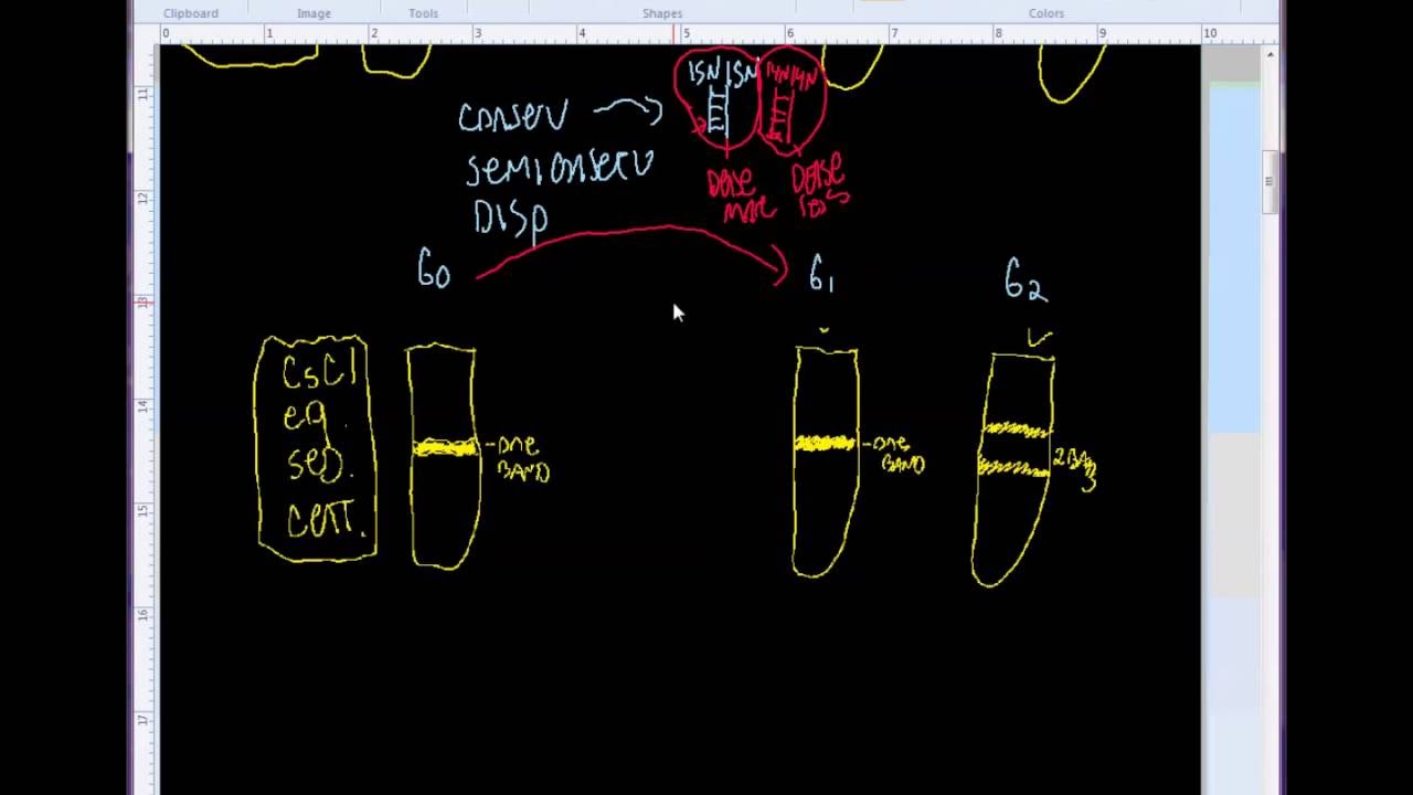 Problem 11.4
