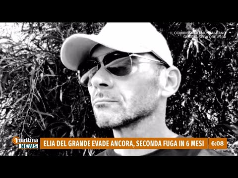 Video Elia Del Grande di nuovo in fuga - 1mattina News 07/04/2026