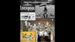 MUNDO BEATLE - PROMOCIÓN EVENTO GEORGE HARRISON screenshot 5