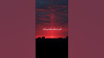 تلاوة من سورة الفجر 🤍🌿بصوت ماهر المعيقلي 🤍😌