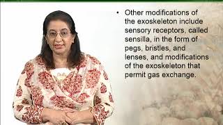ZOO201_Topic123