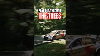 Flat Out Through the Forest ๐ณ
#WRC #RallyJapan #RallyCar Flat Out Through the Forest ๐ณ