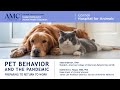 Pet Behavior and the Pandemic: Preparing to Return to Work