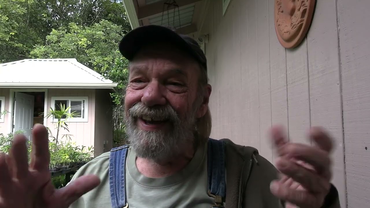 Gray-C's Story of an extrodinary cat