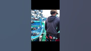 Cảng cá Mỹ Tân lúc 6h sáng