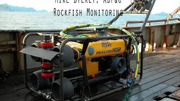 ROV docks
