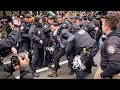 Multiple arrests and clashes w police at columbia university palestine protest  nyc