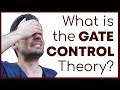 What is the gate control theory of pain  how pain perception works  corporis