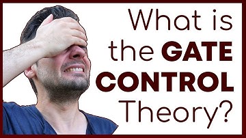 What is the Gate Control Theory of Pain - How Pain Perception Works | Corporis