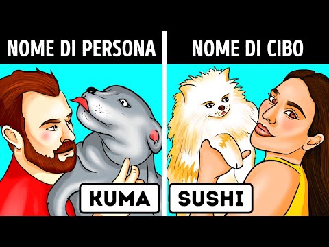 Video: 6 Segni Che Indicano Che è Ora Di Cambiare Il Cibo Del Tuo Cane